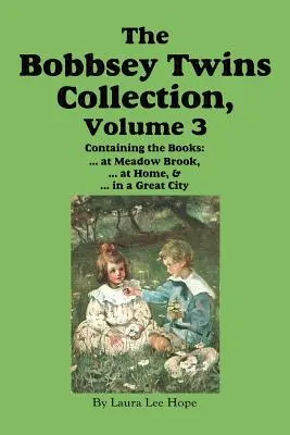 La collection des jumeaux Bobbsey, volume 3 : A Meadow Brook ; A la maison ; Dans une grande ville - The Bobbsey Twins Collection, Volume 3: At Meadow Brook; At Home; In a Great City