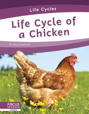 Cycle de vie d'un poulet - Life Cycle of a Chicken