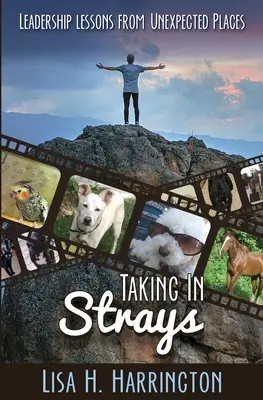 Taking In Strays : Leçons de leadership provenant d'endroits inattendus - Taking In Strays: Leadership Lessons From Unexpected Places