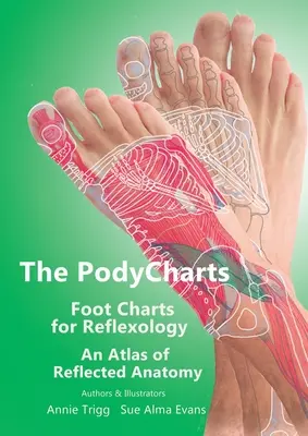 Les cartes des pieds de PodyCharts pour la réflexologie : Un atlas de l'anatomie réfléchie - The PodyCharts Foot Charts for Reflexology: An atlas of reflected anatomy