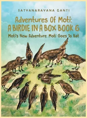 Aventures de Moti Un oiseau dans une boîte Livre 6 : La nouvelle aventure de Moti. Moti va à la batte - Adventures Of Moti A Birdie In A Box Book 6: Moti's New Adventure. Moti Goes To Bat