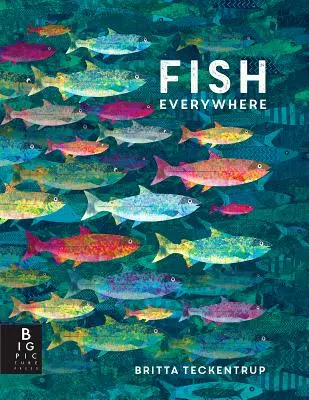 Des poissons partout - Fish Everywhere