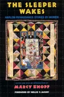Le dormeur s'éveille : Histoires de femmes de la Renaissance de Harlem - The Sleeper Wakes: Harlem Renaissance Stories by Women