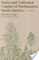 Conifères indigènes et cultivés du nord-est de l'Amérique du Nord : Un guide - Native and Cultivated Conifers of Northeastern North America: A Guide