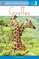 Girafes - Giraffes