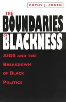 Les frontières de la noirceur : Le sida et l'effondrement de la politique noire - The Boundaries of Blackness: AIDS and the Breakdown of Black Politics