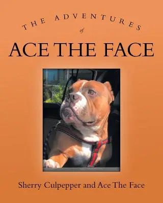 Les aventures de l'As au visage - The Adventures of Ace The Face