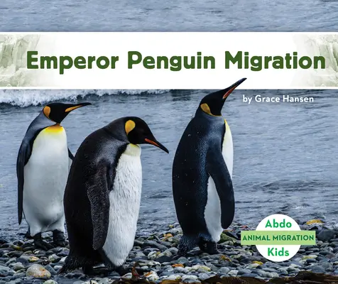 Migration des manchots empereurs - Emperor Penguin Migration