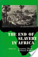 La fin de l'esclavage en Afrique - The End of Slavery in Africa