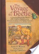 Le voyage du scarabée : Un voyage autour du monde avec Charles Darwin et la recherche de la solution au mystère des mystères, raconté par le narrateur. - The Voyage of the Beetle: A Journey Around the World with Charles Darwin and the Search for the Solution to the Mystery of Mysteries, as Narrate