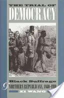 Le procès de la démocratie : le suffrage des Noirs et les républicains du Nord, 1860-1910 - The Trial of Democracy: Black Suffrage and Northern Republicans, 1860-1910