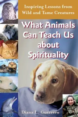 Ce que les animaux peuvent nous apprendre sur la spiritualité : Leçons inspirantes de créatures sauvages et apprivoisées - What Animals Can Teach Us about Spirituality: Inspiring Lessons from Wild and Tame Creatures