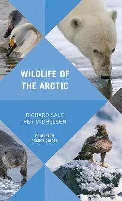 La faune de l'Arctique - Wildlife of the Arctic