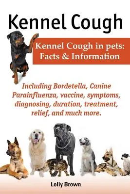 La toux de chenil. Symptômes, diagnostic, durée, traitement, soulagement, Bordetella, Parainfluenza canine, vaccin, et bien plus encore. La toux de chenil chez le caniche - Kennel Cough. Including Symptoms, Diagnosing, Duration, Treatment, Relief, Bordetella, Canine Parainfluenza, Vaccine, and Much More. Kennel Cough in P