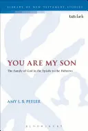 Tu es mon fils - You Are My Son