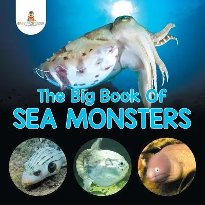 Le grand livre des monstres marins (Animaux marins à l'aspect effrayant) - The Big Book Of Sea Monsters (Scary Looking Sea Animals)