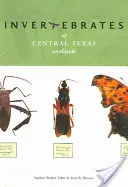 Invertébrés des zones humides du Texas central - Invertebrates of Central Texas Wetlands