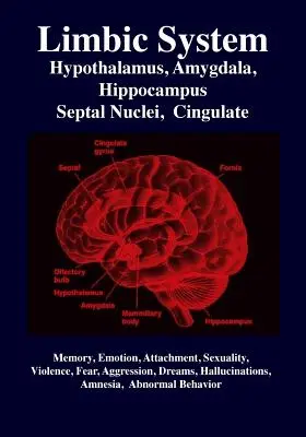 Système limbique : Amygdale, Hypothalamus, Noyaux septaux, Cingulaire, Hippocampe : Émotion, mémoire, langage, développement, évolution, amour - Limbic System: Amygdala, Hypothalamus, Septal Nuclei, Cingulate, Hippocampus: Emotion, Memory, Language, Development, Evolution, Love