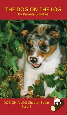 Le chien sur la bûche Livre à chapitres : (Étape 1) Livres à trous sonores (décodables systématiquement) Aider les lecteurs en développement, y compris ceux qui souffrent de dyslexie, à apprendre à lire. - The Dog On The Log Chapter Book: (Step 1) Sound Out Books (systematic decodable) Help Developing Readers, including Those with Dyslexia, Learn to Read
