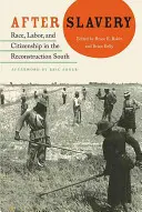 Après l'esclavage : Race, travail et citoyenneté dans le Sud en reconstruction - After Slavery: Race, Labor, and Citizenship in the Reconstruction South