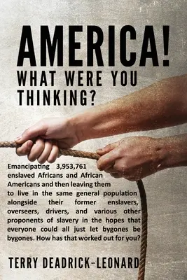 L'Amérique ! Qu'est-ce que vous pensiez ? Émanciper 3 953 761 Africains et Afro-Américains réduits en esclavage et les laisser vivre dans la même pop... - America! What Were You Thinking?: Emancipating 3,953,761 enslaved Africans and African Americans and then leaving them to live in the same general pop