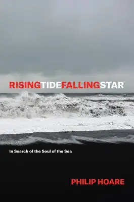 Risingtidefallingstar : À la recherche de l'âme de la mer - Risingtidefallingstar: In Search of the Soul of the Sea