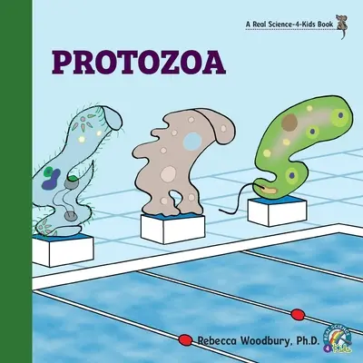 Protozoaires - Protozoa