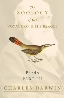 Oiseaux - Partie III - La zoologie du voyage de H.M.S Beagle - Birds - Part III - The Zoology of the Voyage of H.M.S Beagle