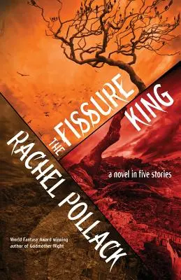 Le roi des fissures : Un roman en cinq histoires - The Fissure King: A Novel in Five Stories