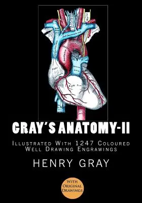 Gray's Anatomy : [Illustré par 1247 dessins en couleurs] - Gray's Anatomy: [Illustrated With 1247 Coloured Well Drawing Engrawings]