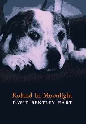 Roland au clair de lune - Roland in Moonlight