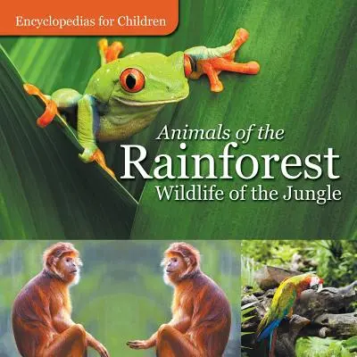 Les animaux de la forêt tropicale - La faune de la jungle - Encyclopédies pour enfants - Animals of the Rainforest - Wildlife of the Jungle - Encyclopedias for Children