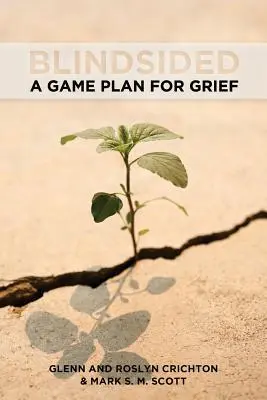 Blindsided : Un plan de match pour le deuil - Blindsided: A Game Plan for Grief