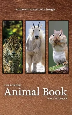 Le livre des animaux de Burgess avec de nouvelles images en couleur - The Burgess Animal Book with new color images
