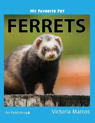 Mon animal préféré : les phoques Les furets - My Favorite Pet: Ferrets