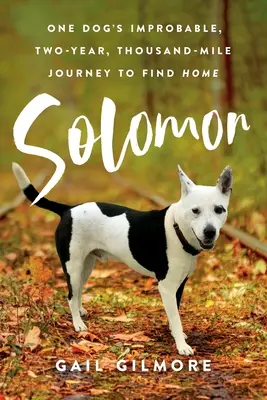 Solomon : Le voyage improbable de deux ans et de mille kilomètres d'un chien à la recherche d'un foyer - Solomon: One Dog's Improbable, Two-year, Thousand-mile Journey to Find Home