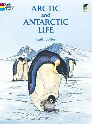 Livre à colorier sur la vie dans l'Arctique et l'Antarctique - Arctic and Antarctic Life Coloring Book