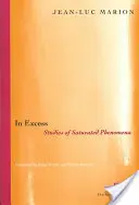 En excès : Études des phénomènes saturés - In Excess: Studies of Saturated Phenomena