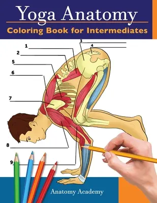 Le livre de coloriage de l'anatomie du yoga pour les intermédiaires : 50+ autotest incroyablement détaillé des poses de yoga intermédiaires Cahier d'exercices en couleur Cadeau parfait pour les instructio... - Yoga Anatomy Coloring Book for Intermediates: 50+ Incredibly Detailed Self-Test Intermediate Yoga Poses Color workbook Perfect Gift for Yoga Instructo