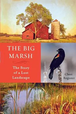 Le grand marais : L'histoire d'un paysage perdu - The Big Marsh: The Story of a Lost Landscape