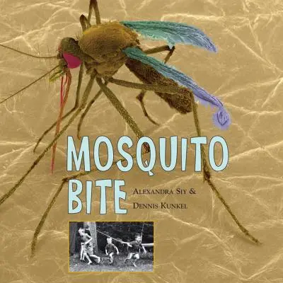 Morsure de moustique - Mosquito Bite