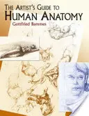 Le guide de l'anatomie humaine pour les artistes - The Artist's Guide to Human Anatomy