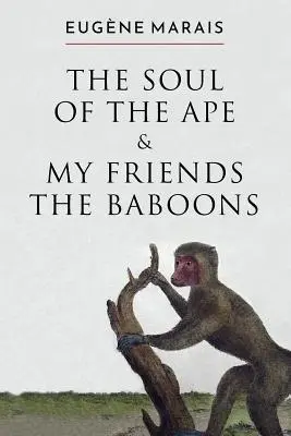 L'âme du singe et mes amis les babouins - The Soul of the Ape & My Friends the Baboons