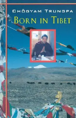 Né au Tibet - Born In Tibet