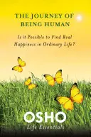 Le voyage de l'être humain : Est-il possible de trouver le vrai bonheur dans la vie ordinaire ? - The Journey of Being Human: Is It Possible to Find Real Happiness in Ordinary Life?