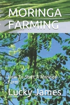 Culture du Moringa : Comment démarrer une ferme de Moringa - Moringa Farming: How To Start A Moringa Farm