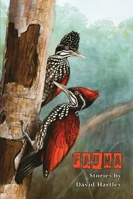 Faune - Fauna