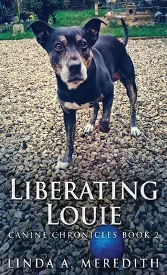 Libérer Louie : La route vers Rutland - Liberating Louie: The Road To Rutland