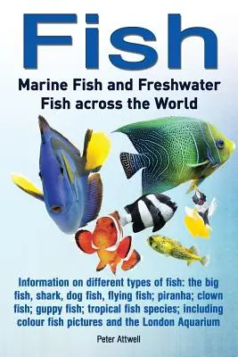 Poissons : Poissons marins et poissons d'eau douce dans le monde : Informations sur les différents types de poissons : le gros poisson, le requin, le poisson-chien... - Fish: Marine Fish and Freshwater Fish Across the World: Information on Different Types of Fish: The Big Fish, Shark, Dog Fis