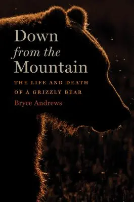 En bas de la montagne - La vie et la mort d'un ours Grizzly - Down from the Mountain - The Life and Death of a Grizzly Bear